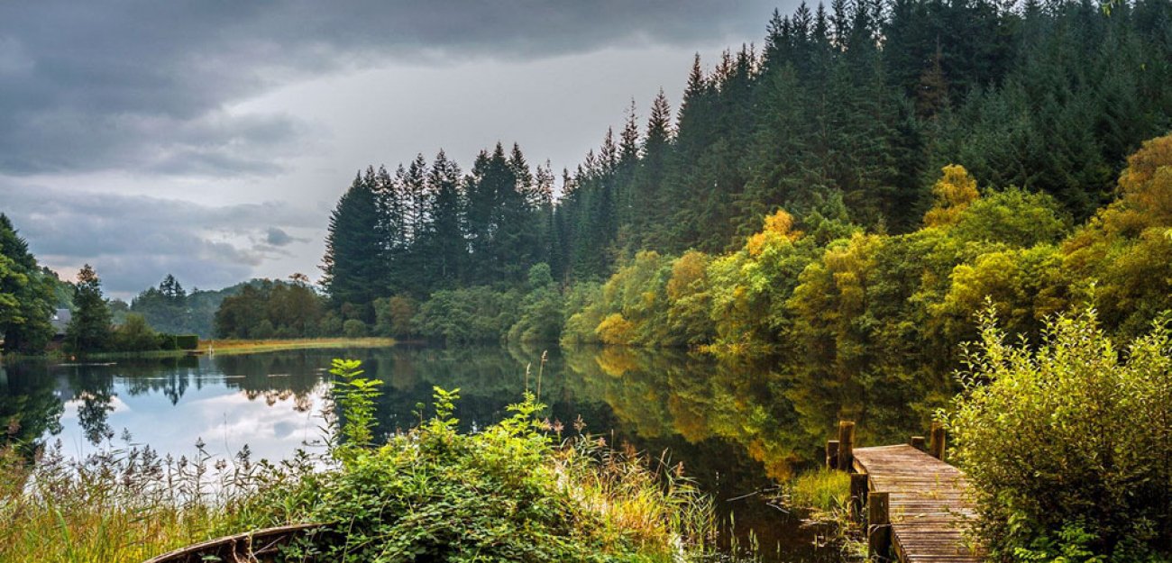 Лесная Заимка (Украина, Харьковская обл.)